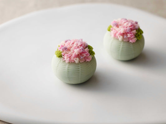 オンライン満喫コース　定期開催修了のお知らせ