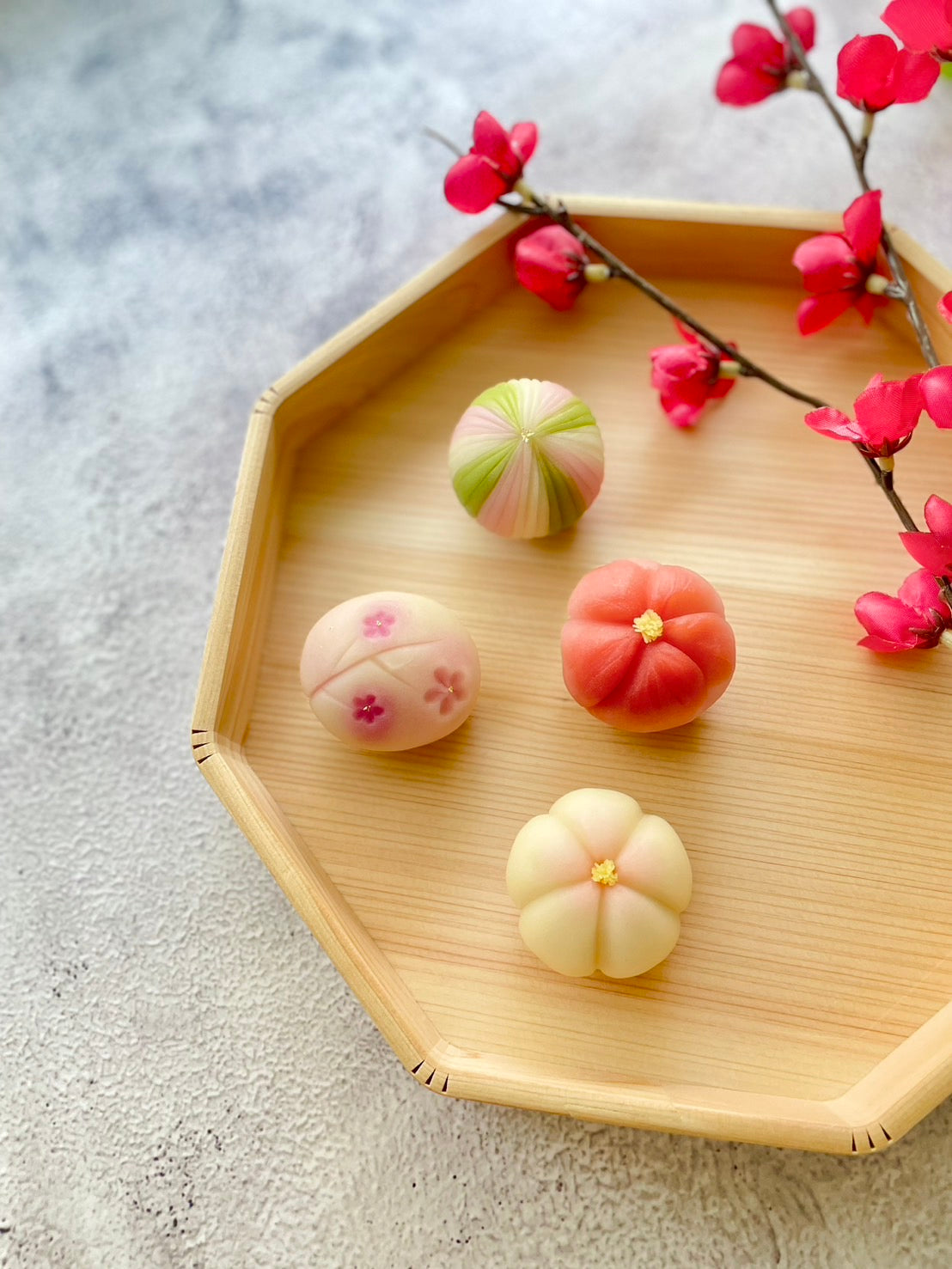 斉藤あかり（さいとうあかり）の写真